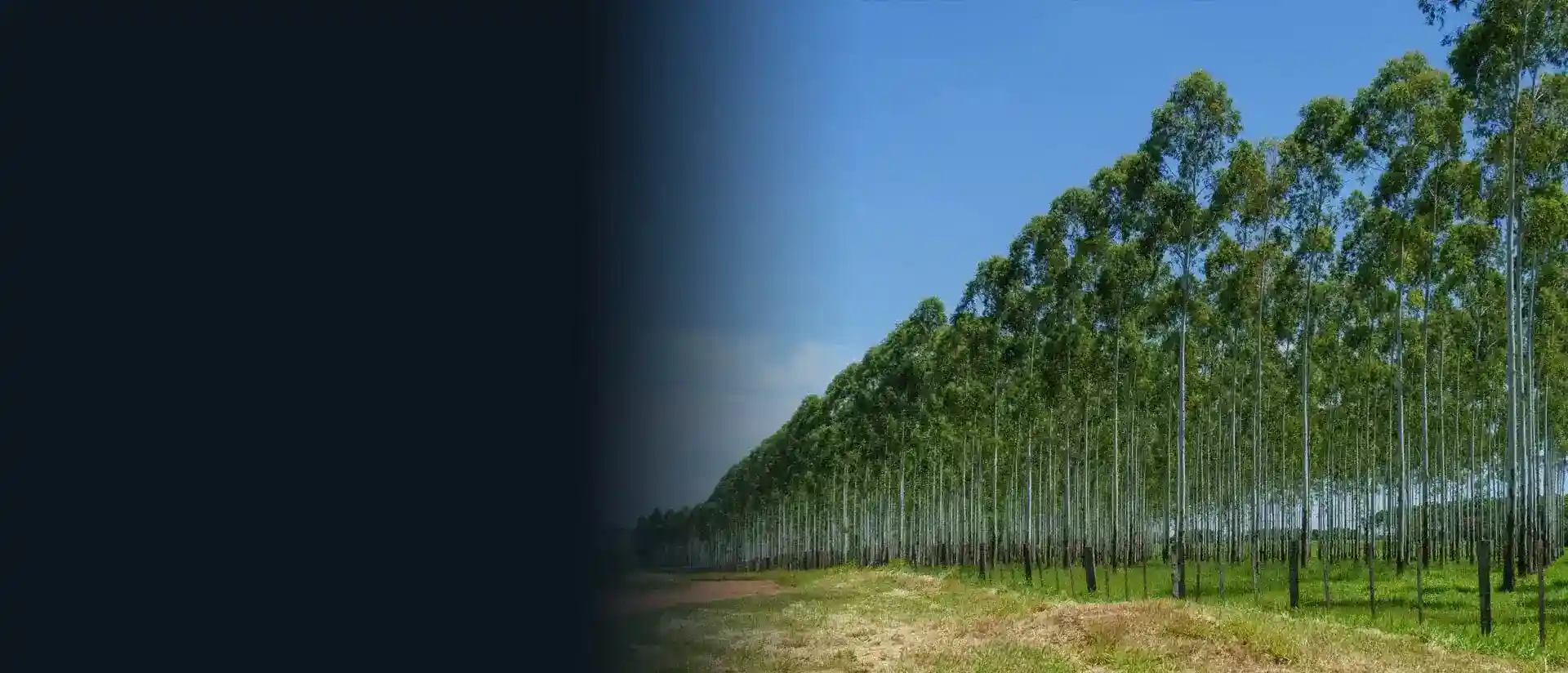 Compromisso com o meio ambiente.